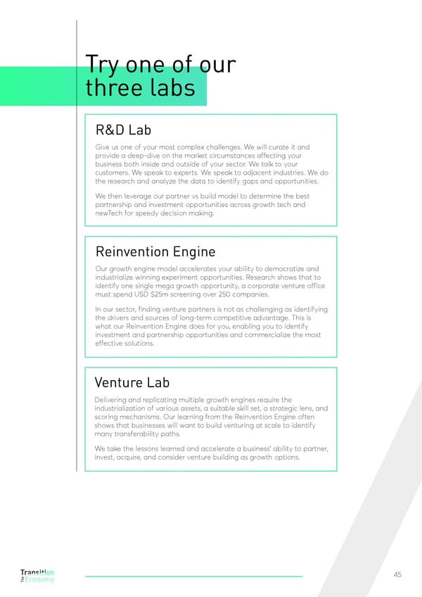 The Transition Economy High Res - Page 45